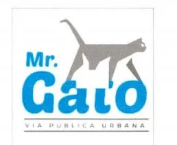MR.GATO