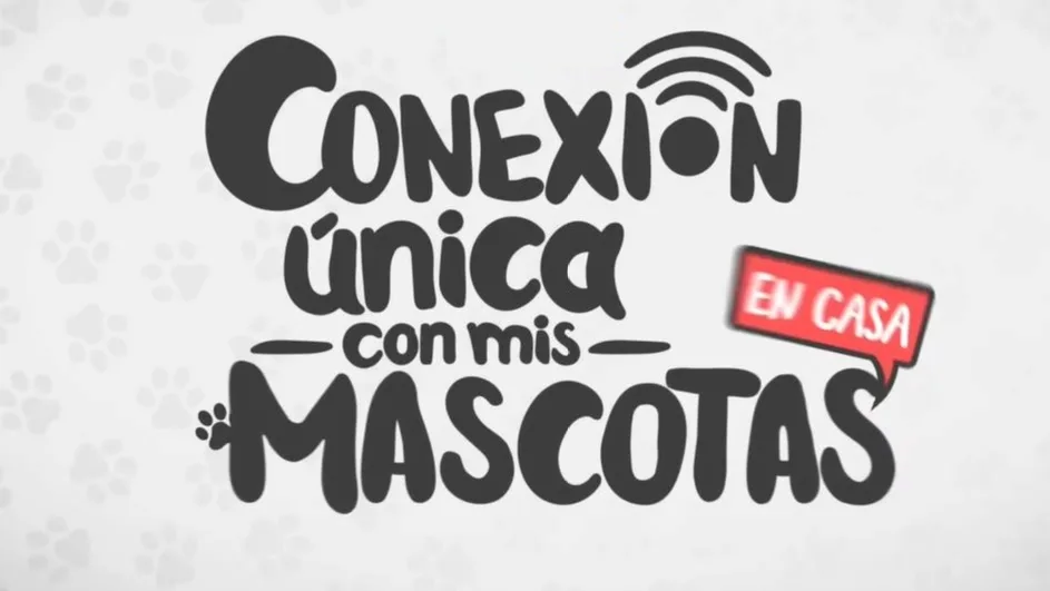 CONEXION ÚNICA CON MIS MASCOTAS EN CASA
