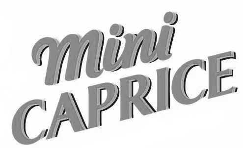 Mini CAPRICE