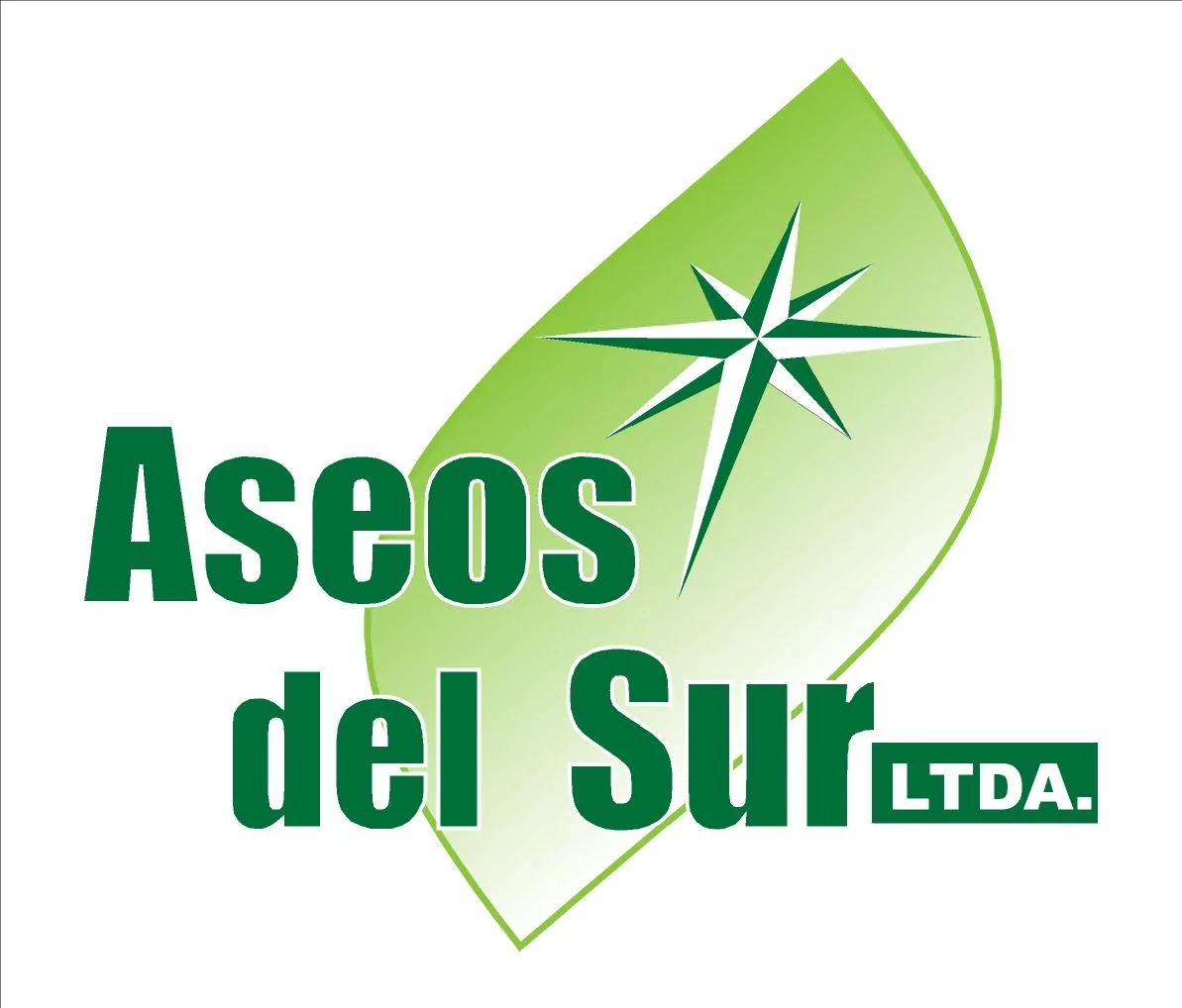 ASEOS DEL SUR LTDA.