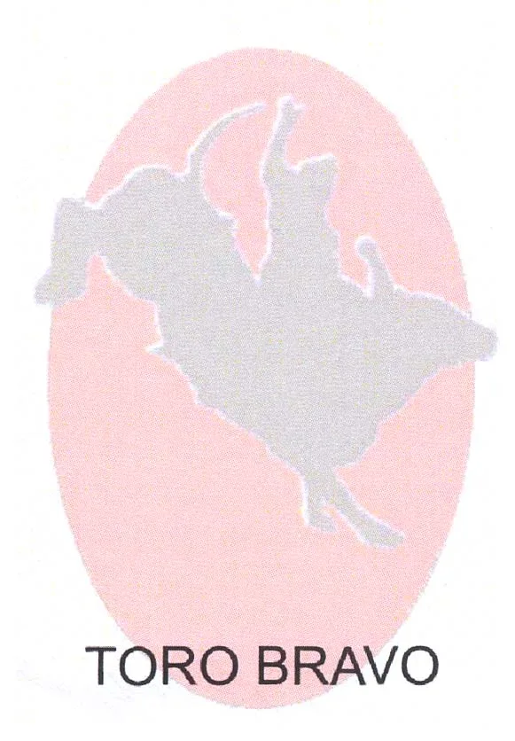 TORO BRAVO