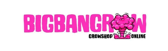 BIGBANGROW