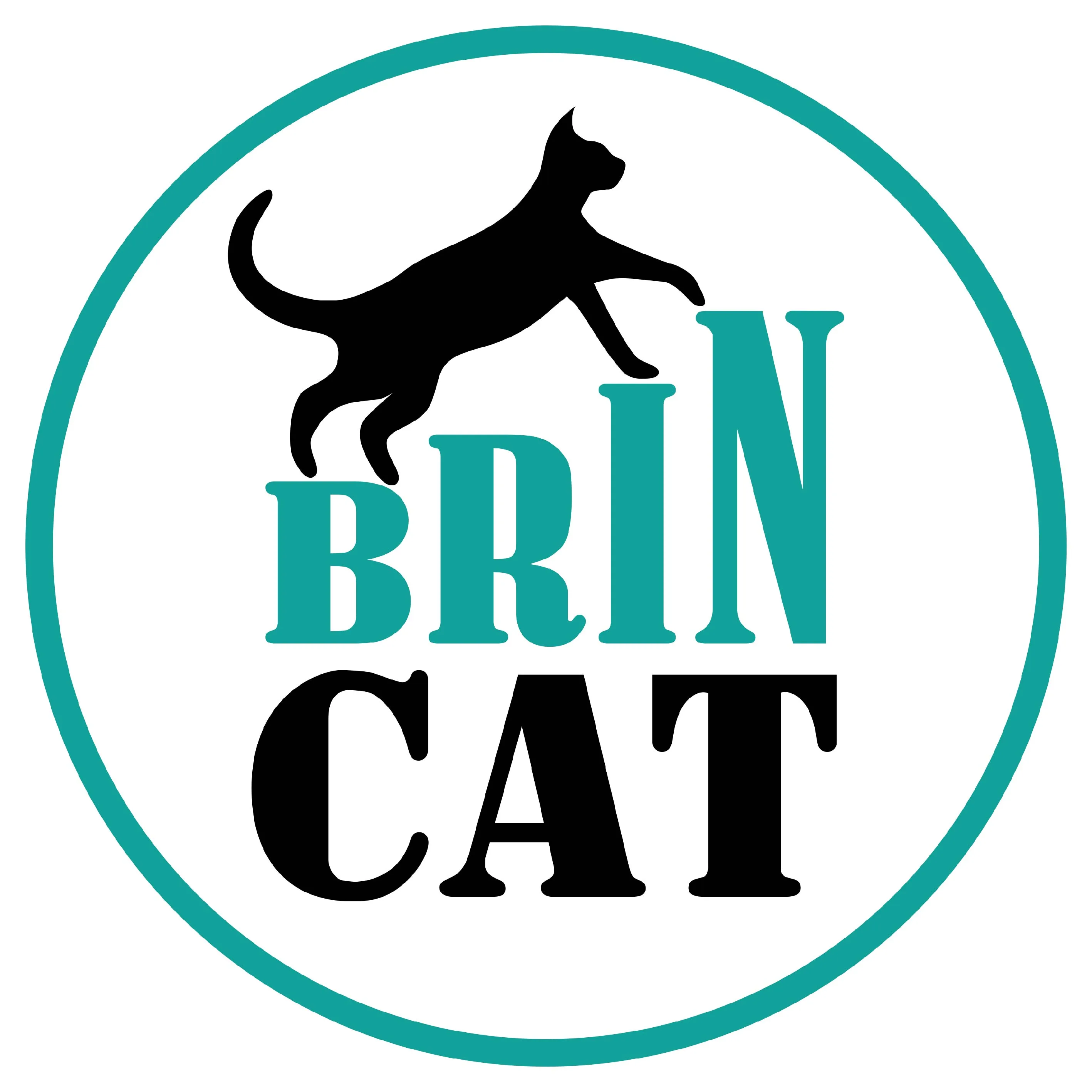 BRIN CAT