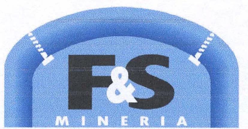 F & S MINERIA