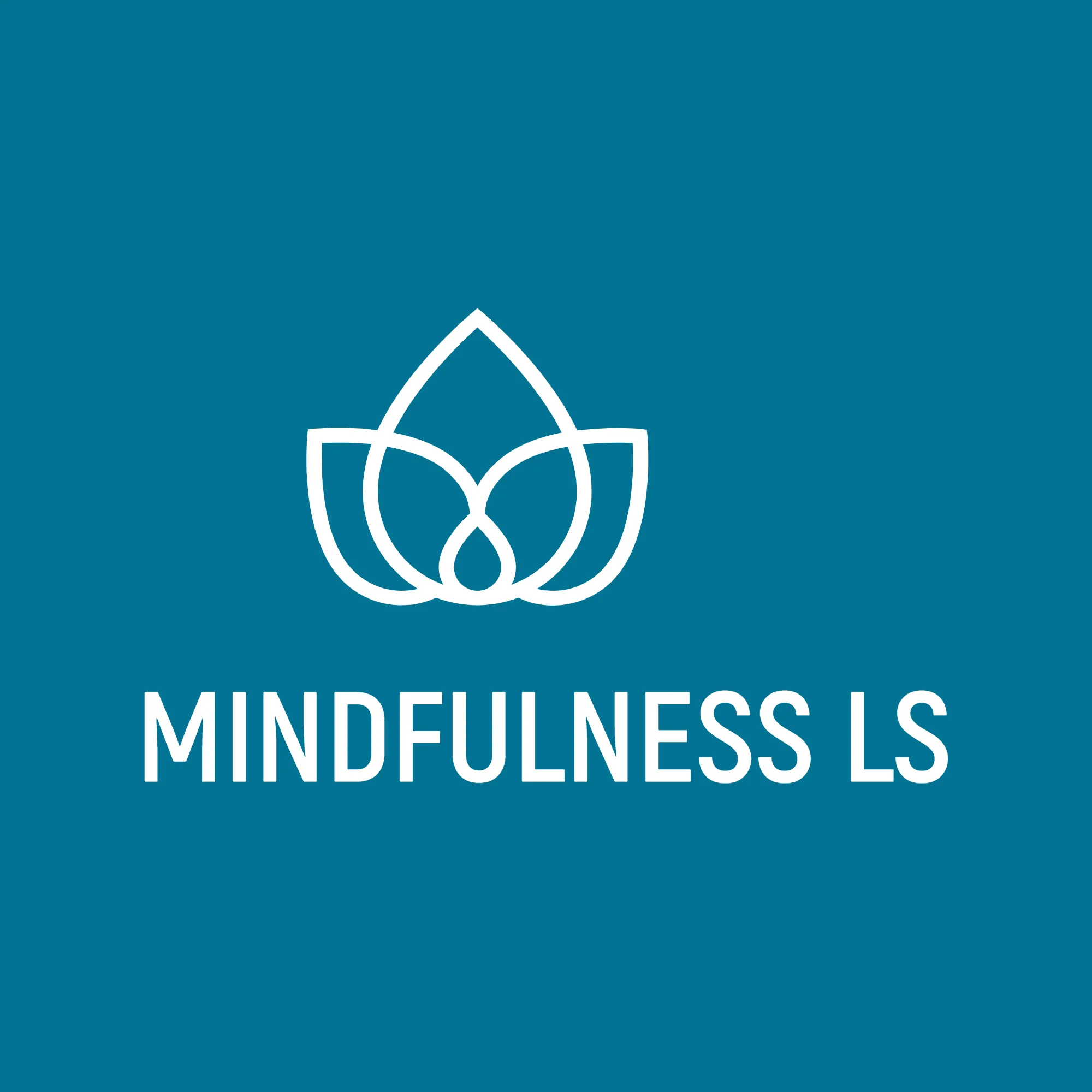 MINDFULNESS LS