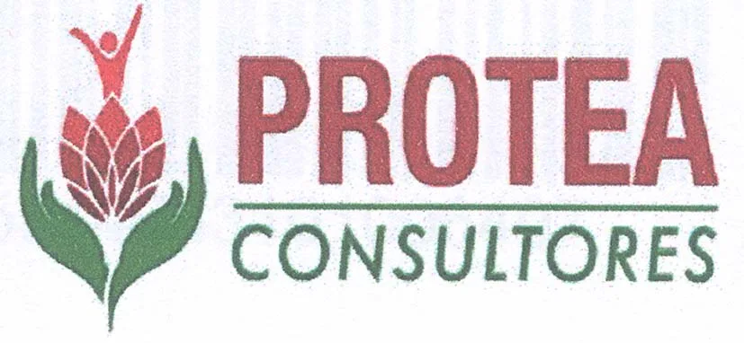 PROTEA CONSULTORES