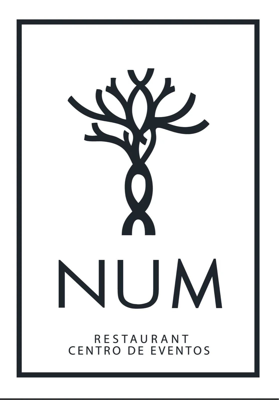 NUM