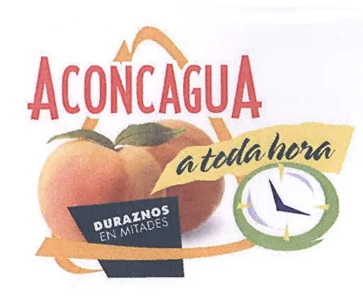 ACONCAGUA A TODA HORA