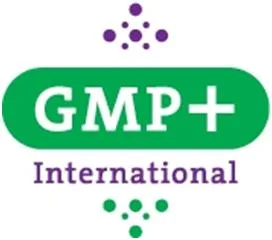 GMP + INTERNATIONAL