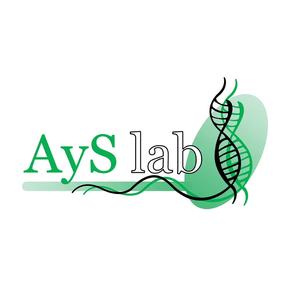 ayslab