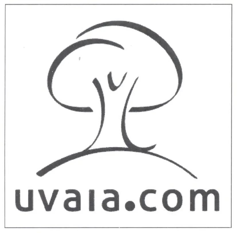 UVAIA.COM
