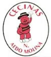 CECINAS N. AEDO MOLINA