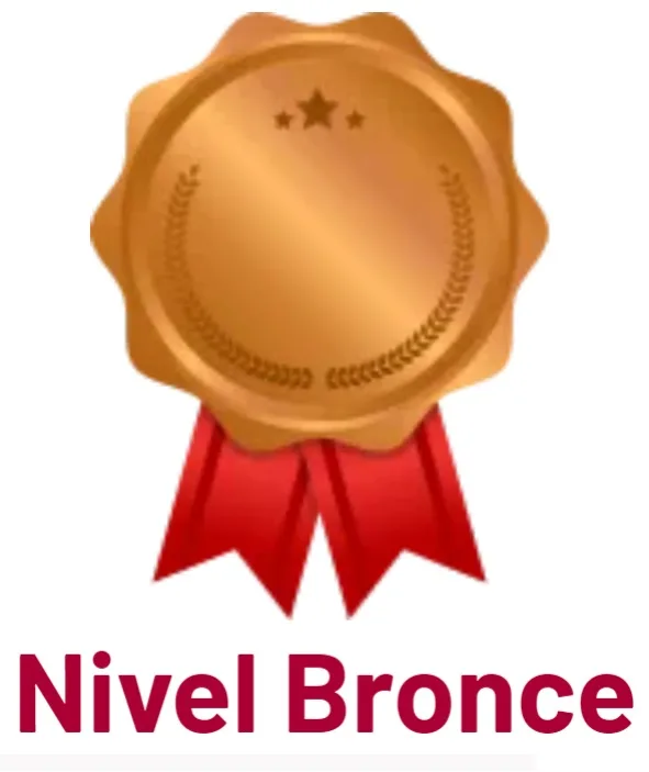 NIVEL BRONCE