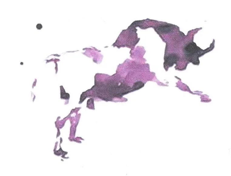 Acta 969977