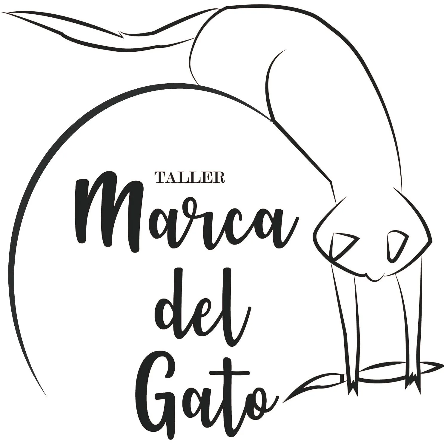 TALLER MARCA DEL GATO