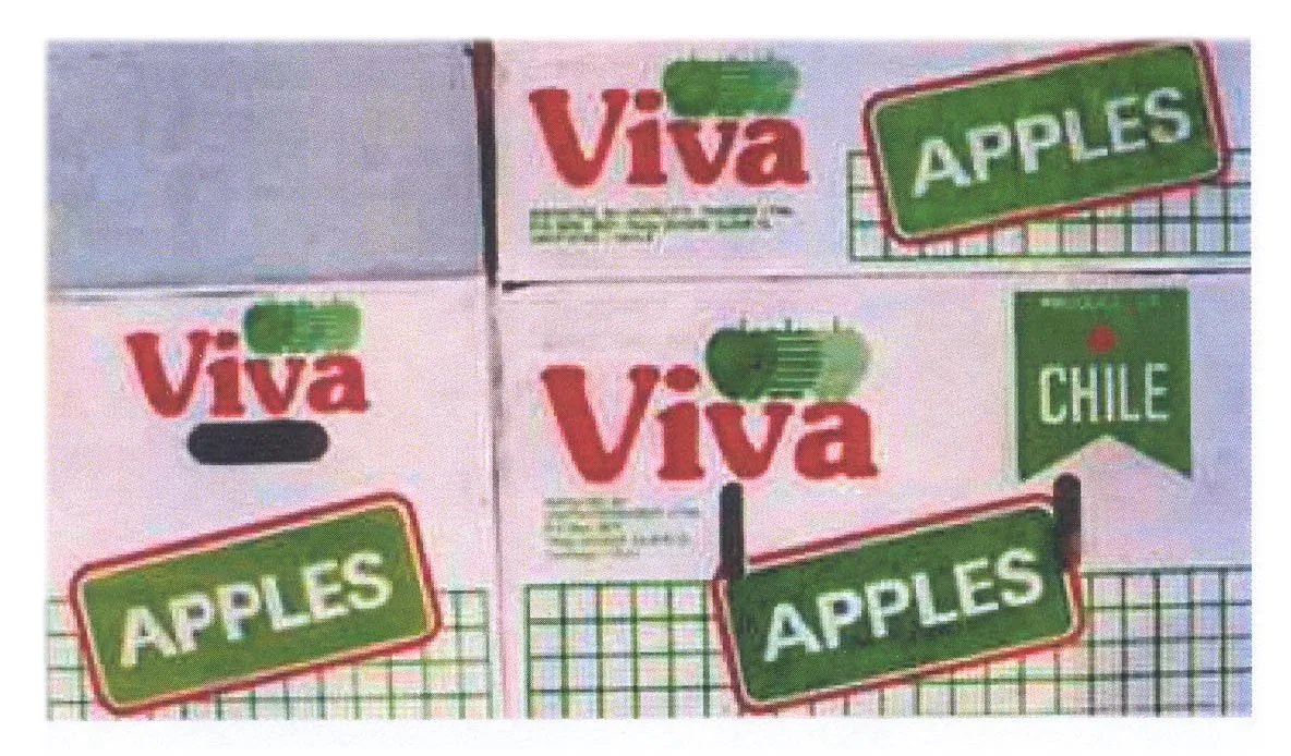 VIVA