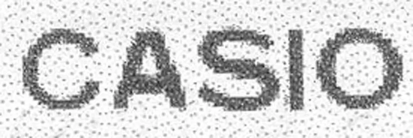 CASIO
