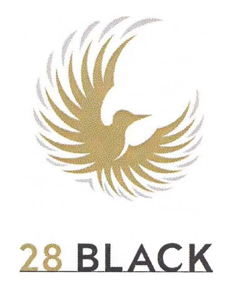 28BLACK