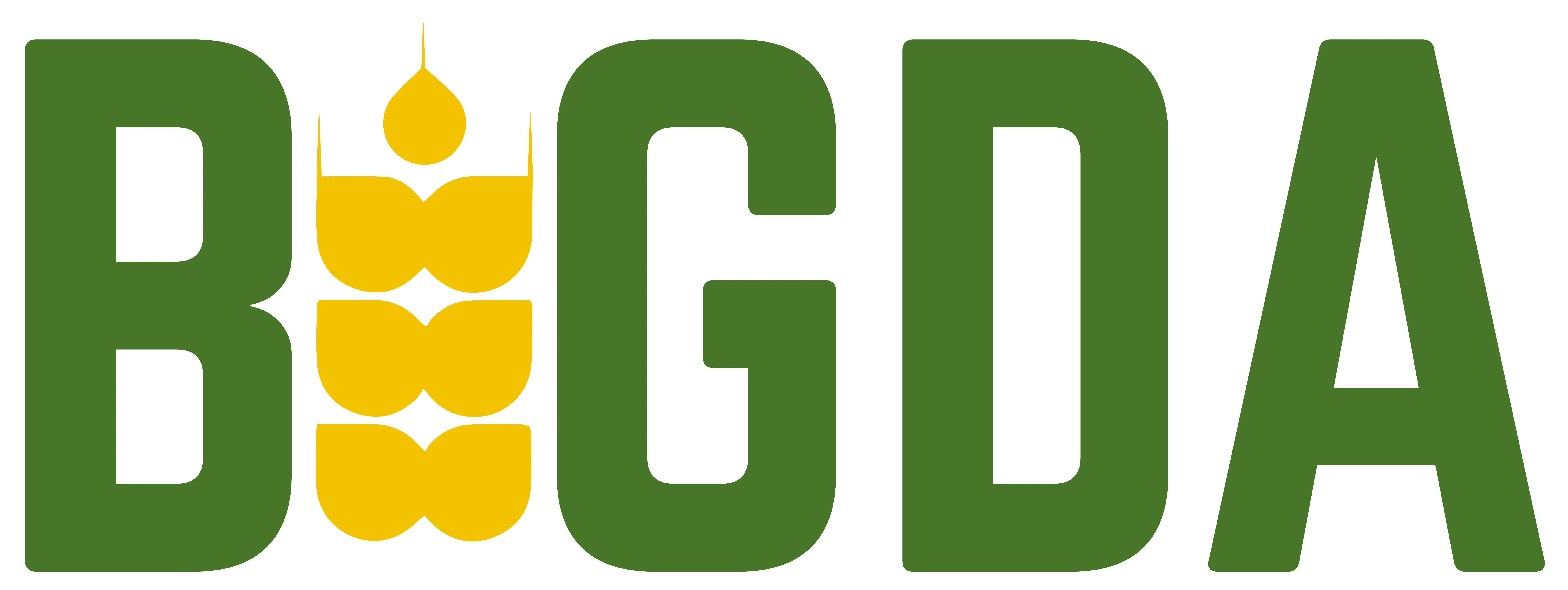 BIGDA