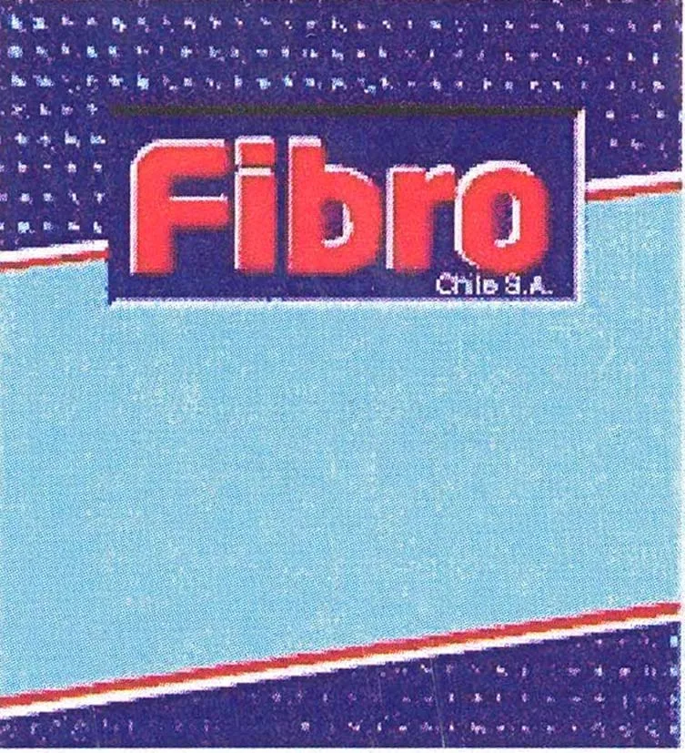 FIBRO CHILE S.A.