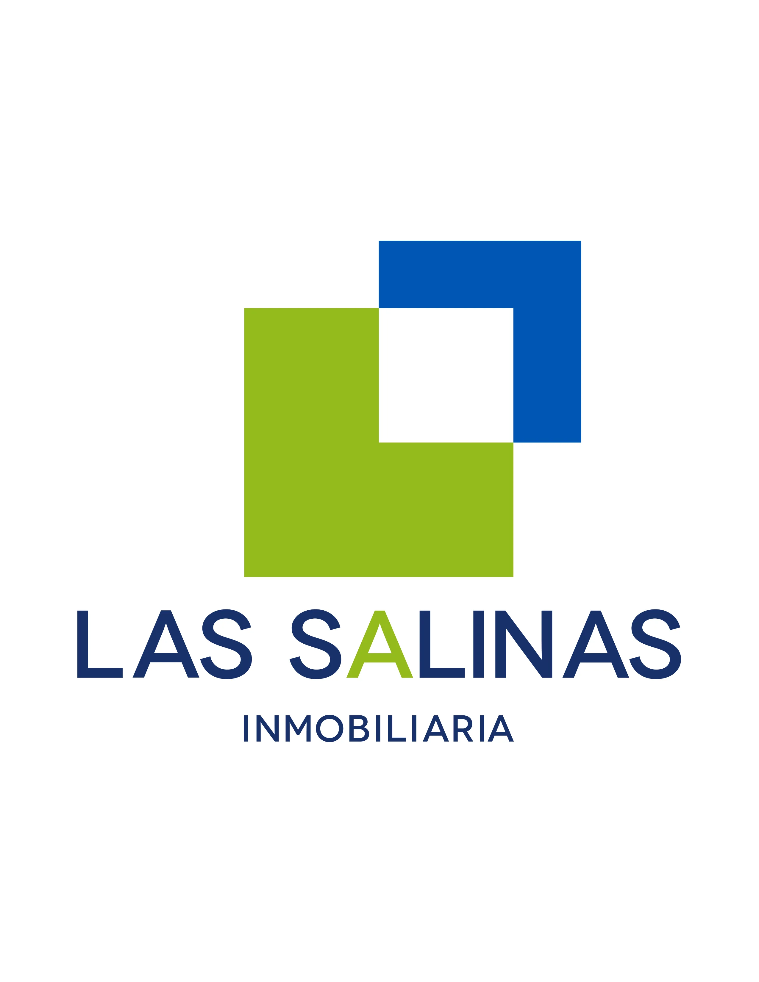 LAS SALINAS INMOBILIARIA