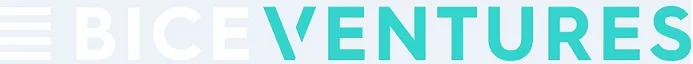 BICE VENTURES