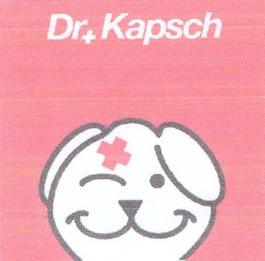 DR KAPSCH