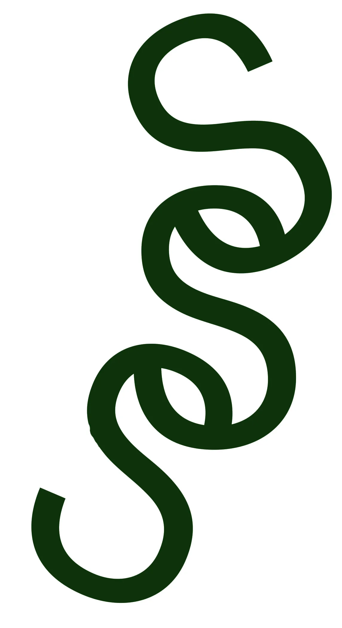SSS