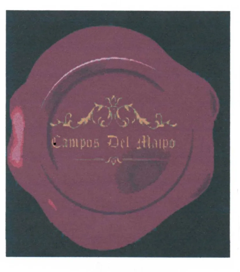 CAMPOS DEL MAIPO