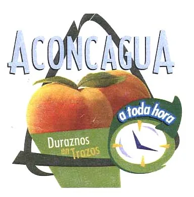 ACONCAGUA A TODA HORA