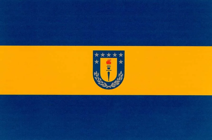 Acta 1041989