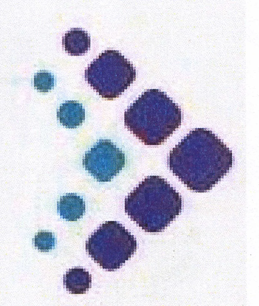 Acta 1122989