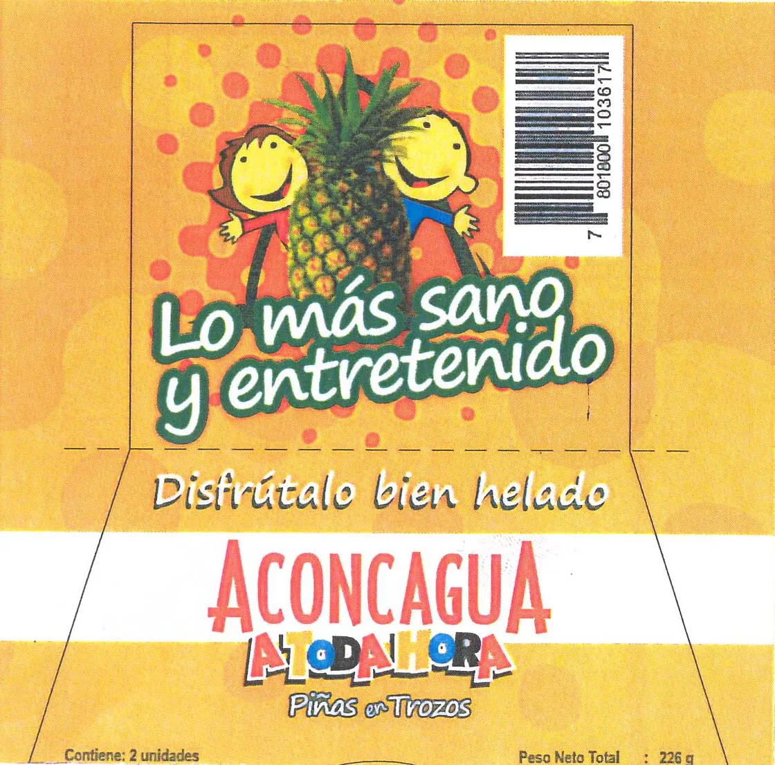 ACONCAGUA A TODA HORA