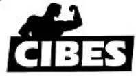 CIBES
