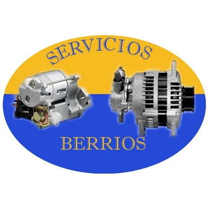 SERVICIOS BERRIOS