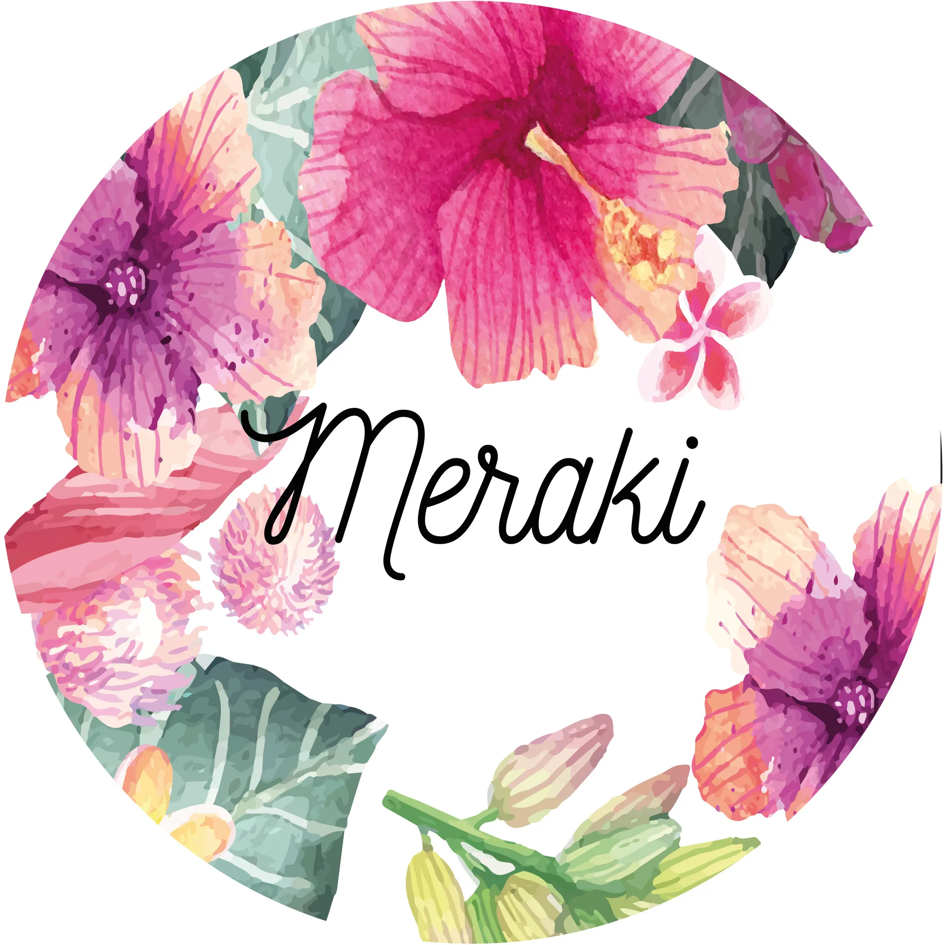 MERAKI