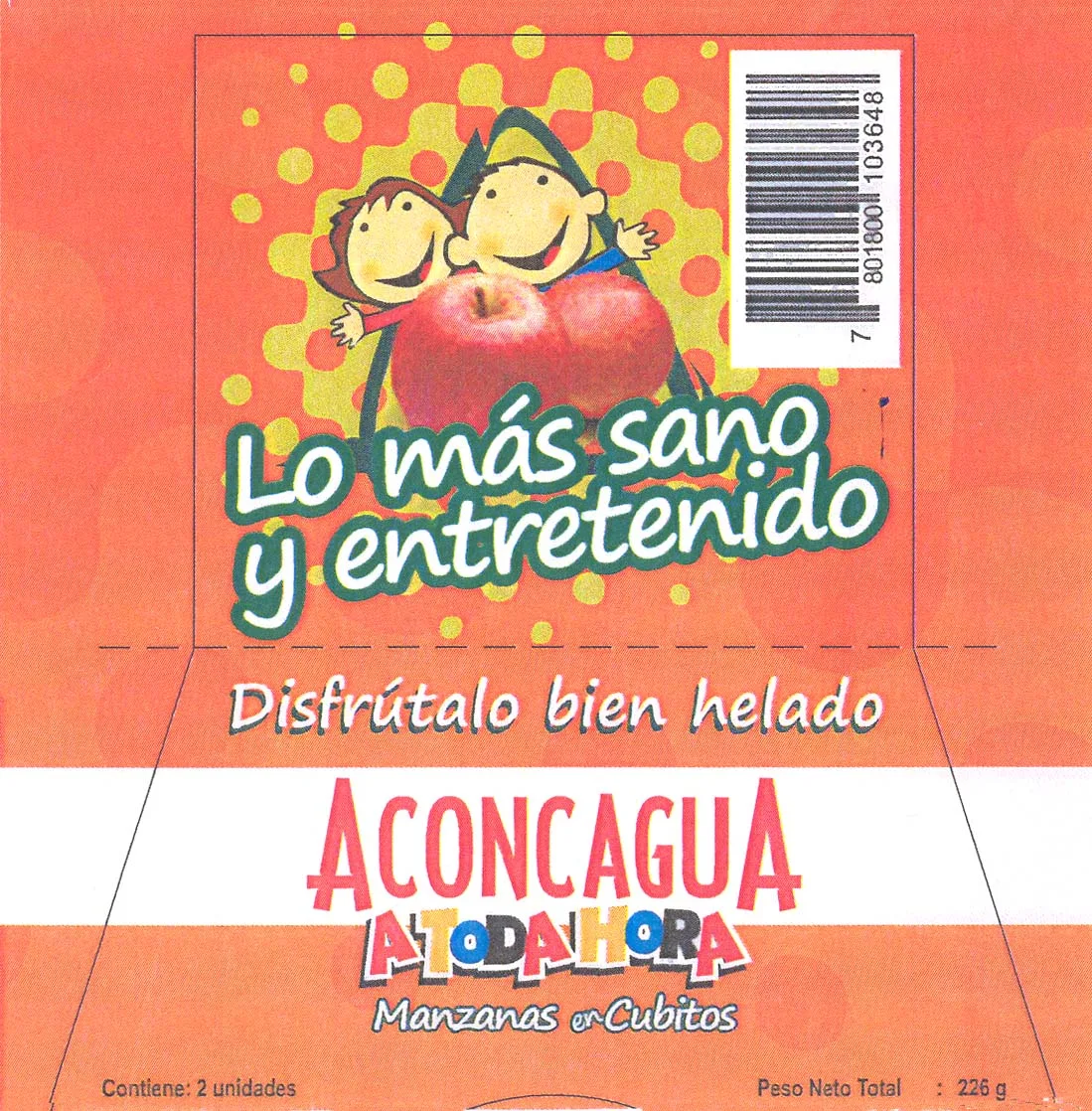 ACONCAGUA A TODA HORA