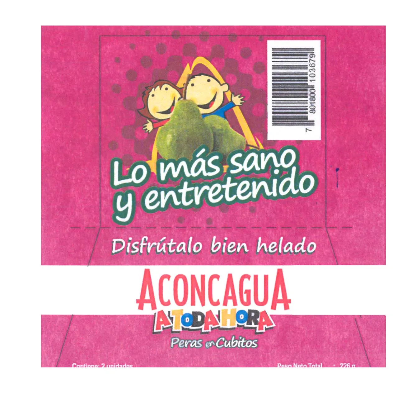 ACONCAGUA A TODA HORA