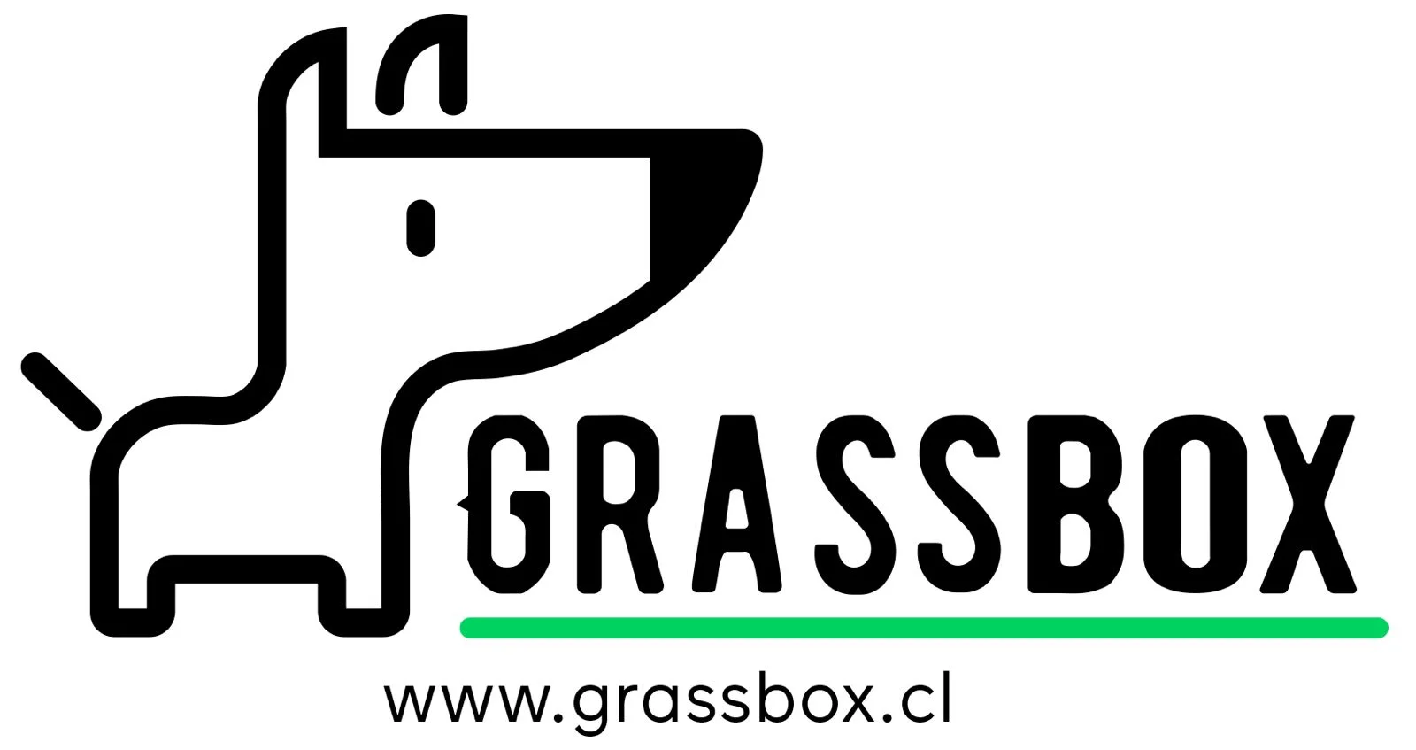 GRASSBOX WWW.GRASSBOX.CL