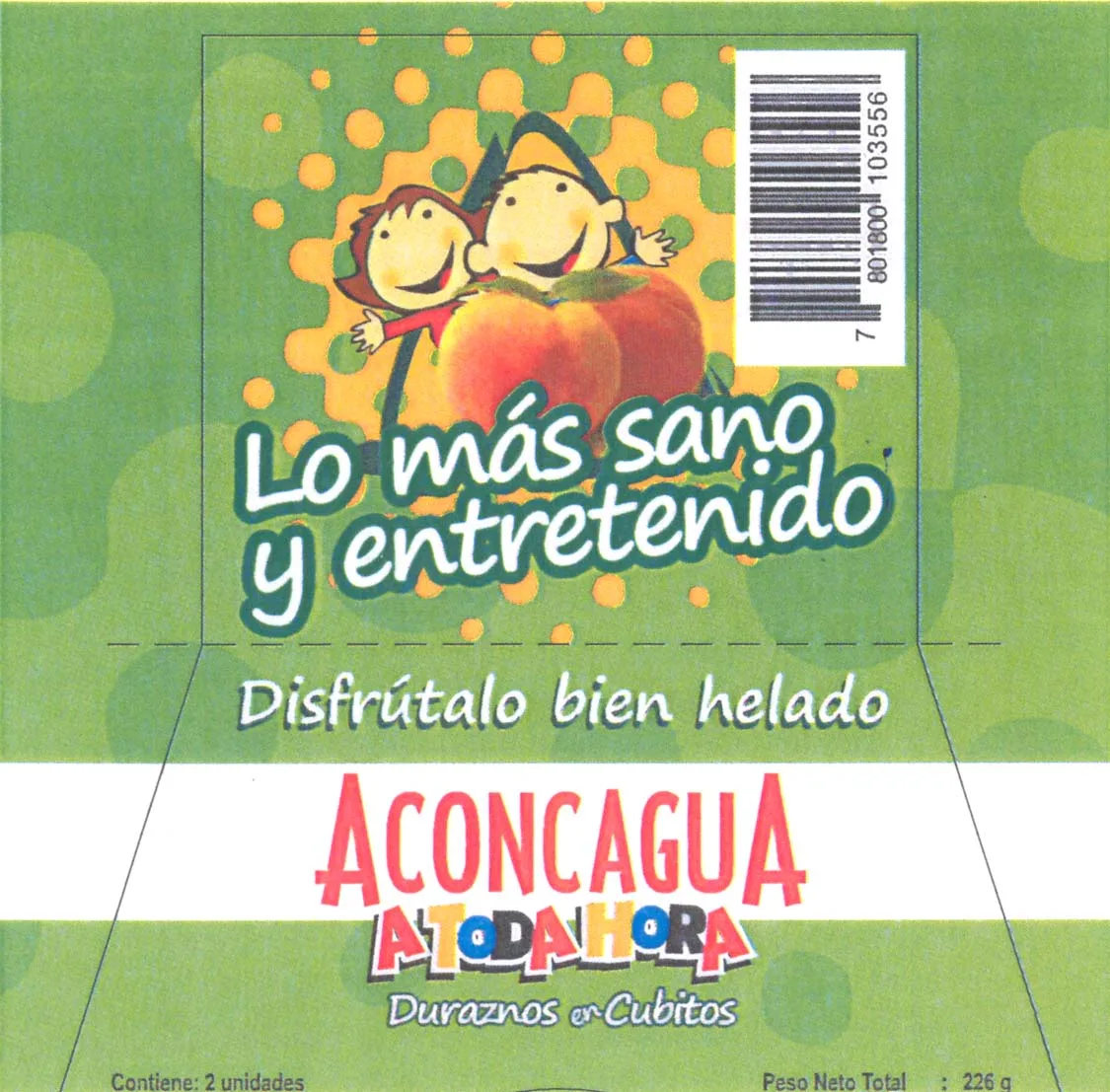 ACONCAGUA A TODA HORA
