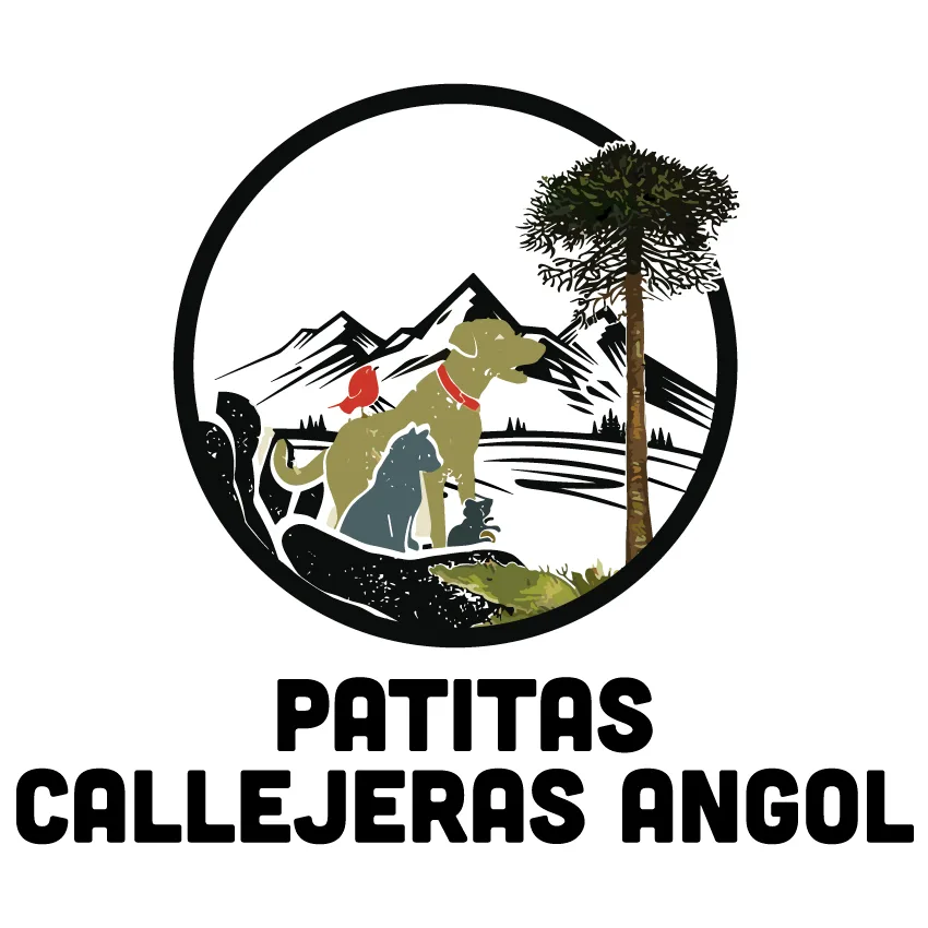 PATITAS CALLEJERAS ANGOL