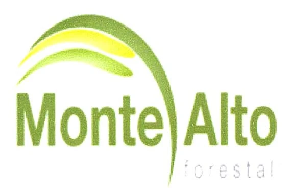 MONTE ALTO