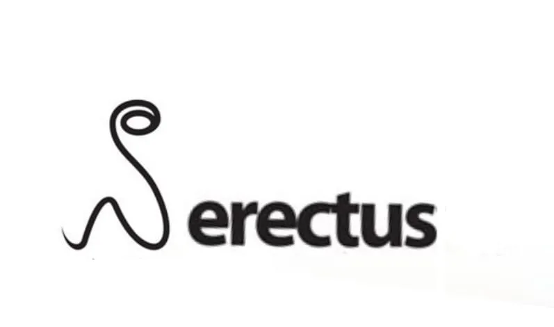 erectus