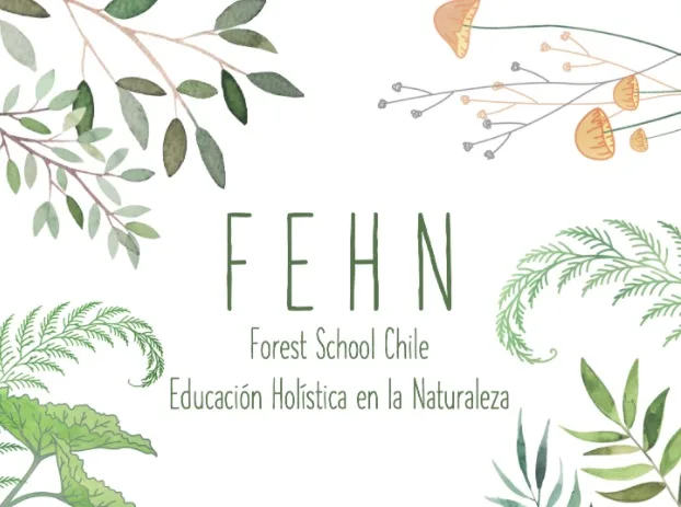 FEHN
