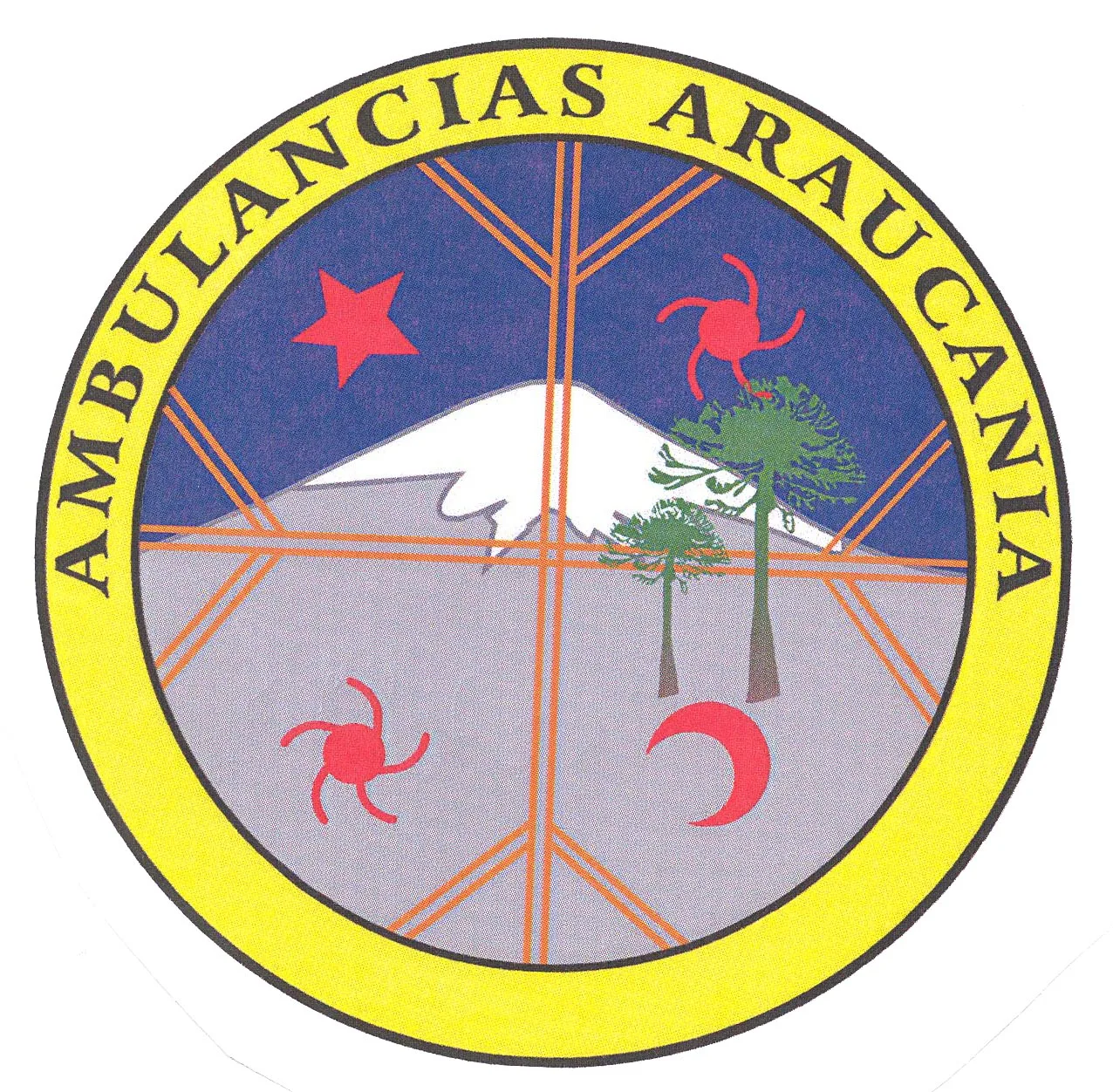AMBULANCIAS ARAUCANIA