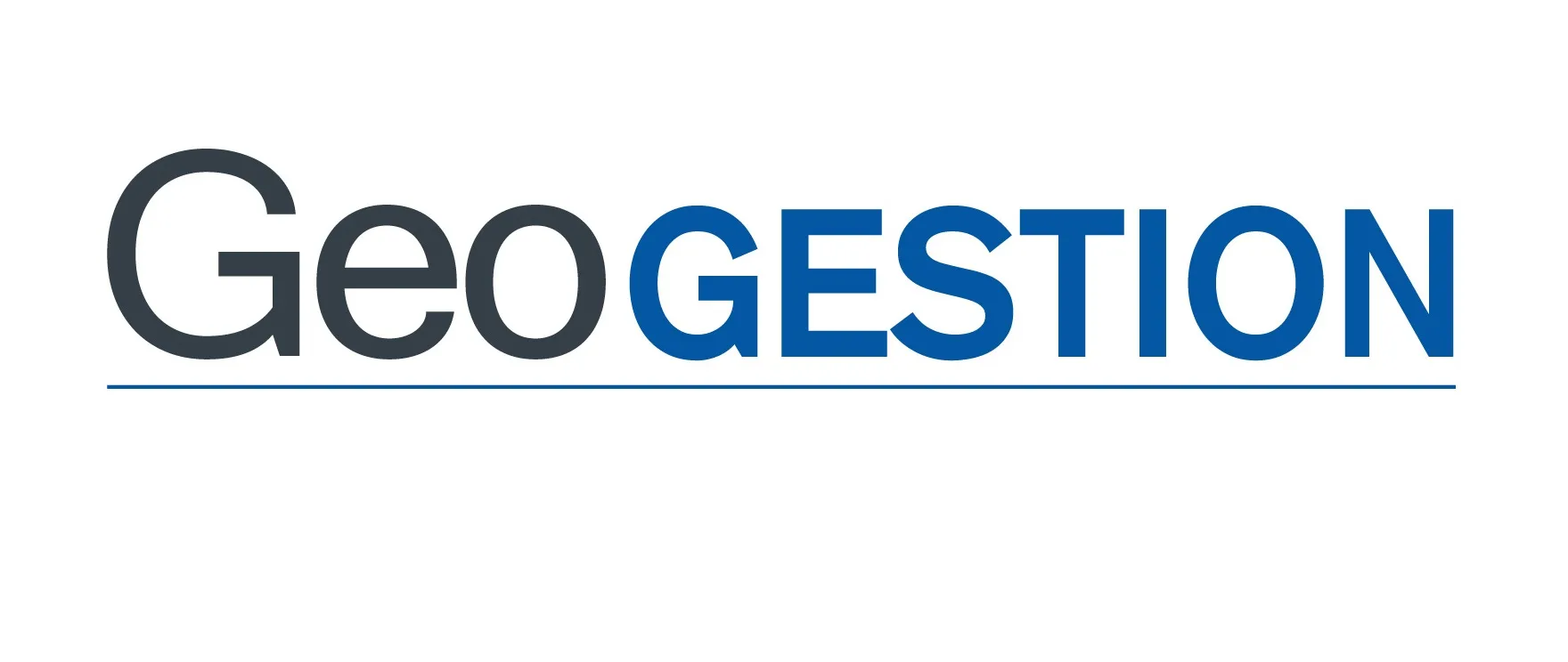 GEOGESTION