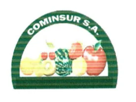 COMINSUR S.A.