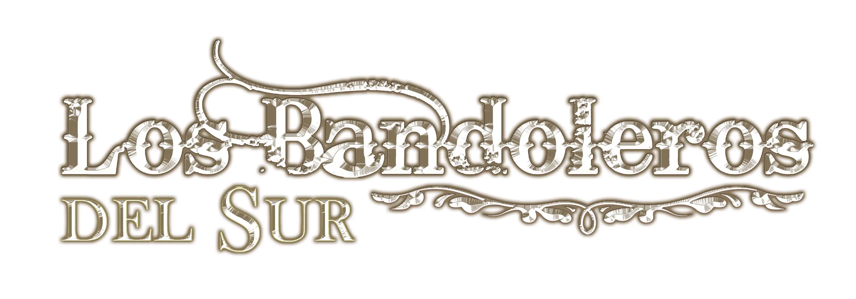 LOS BANDOLEROS DEL SUR